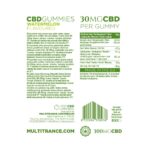 Multitrance CBD Gummy Bears: Watermelon - 300mg - Image 3