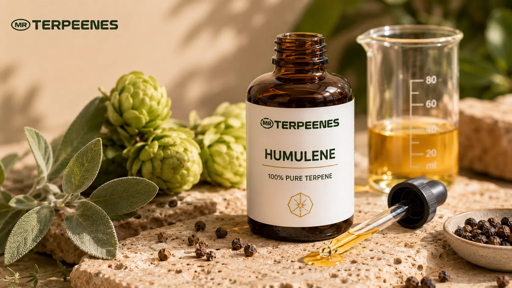 Humulene Terpene Profile: Aroma, Uses and Blending Notes 4 Amber bottle of Mr Terpeenes humulene terpene on a formulation bench with a glass dropper, sage, hop cones, black peppercorns and a measuring beaker
